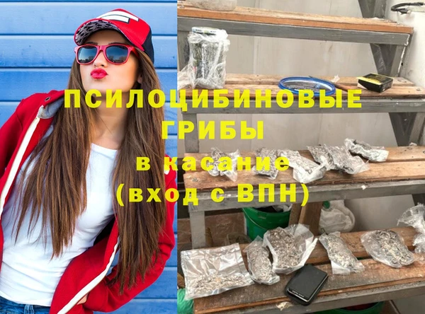 гашик Алзамай