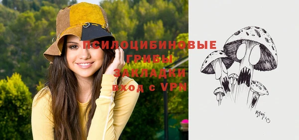 гашик Алзамай