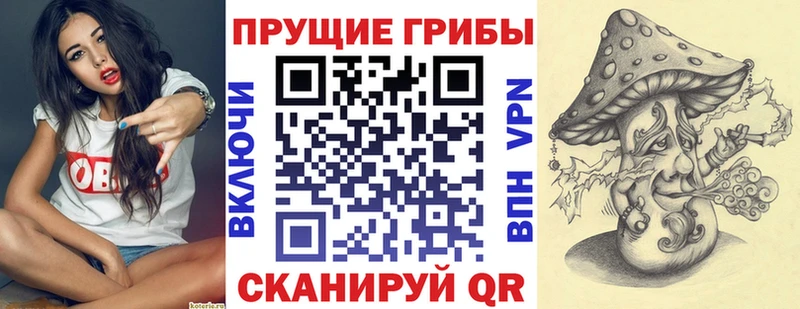 наркотики  Кимовск  Галлюциногенные грибы GOLDEN TEACHER 