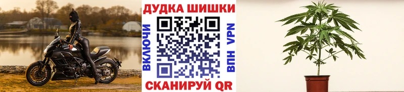 Канабис конопля  Кимовск 